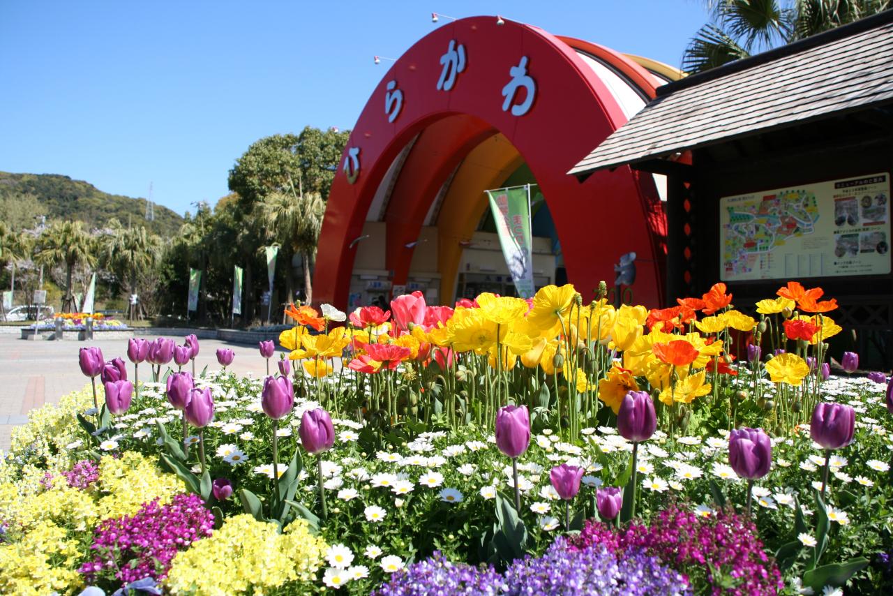 鹿児島市平川動物公園