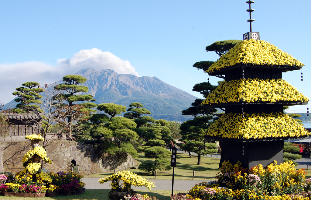 仙巌園 菊まつり